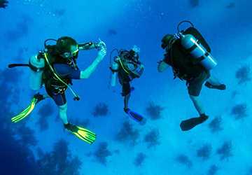 Underwater Paradises: Top Diving Sites for Beginners