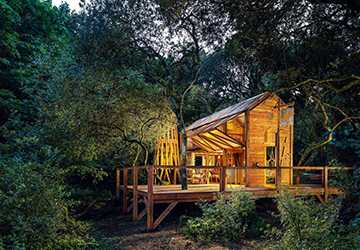 Urban Jungle to Tropical Paradise: City Escapes Within Reach